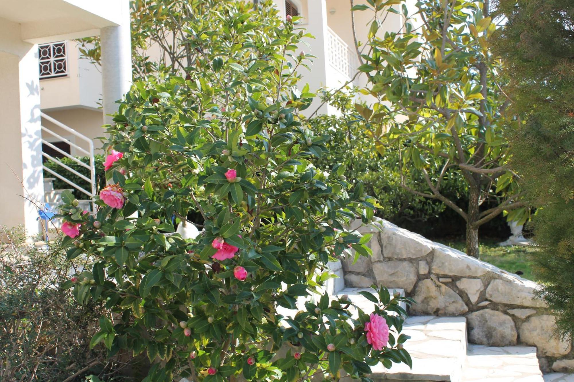 Apartments Vila Marica Rabac Exterior foto