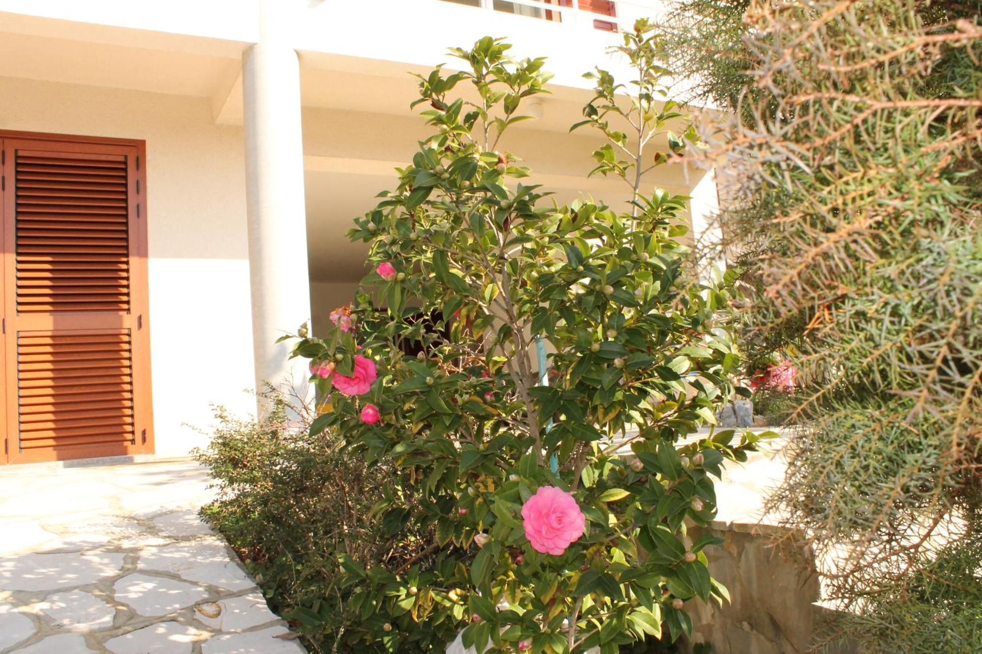 Apartments Vila Marica Rabac Exterior foto