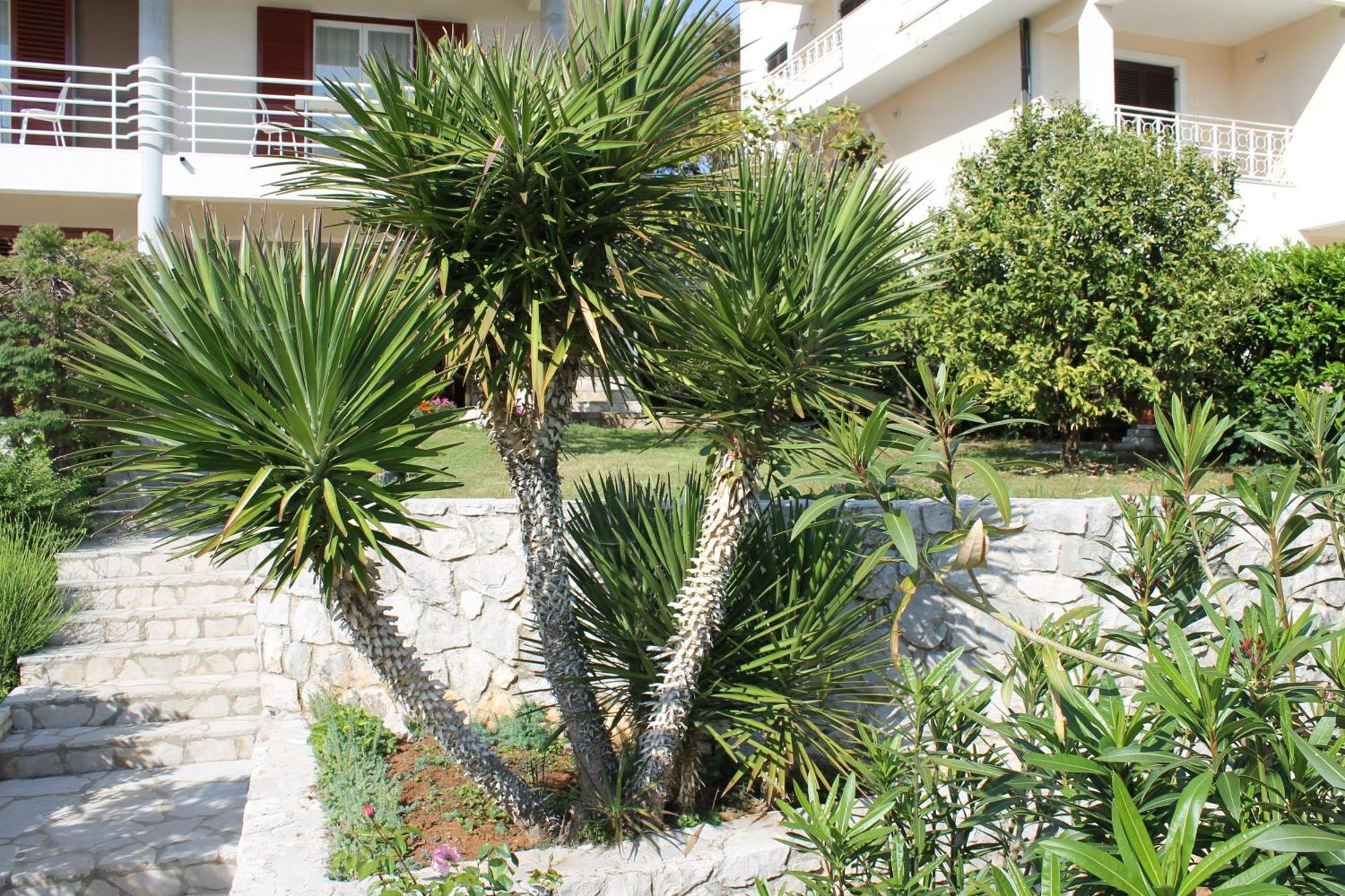 Apartments Vila Marica Rabac Exterior foto